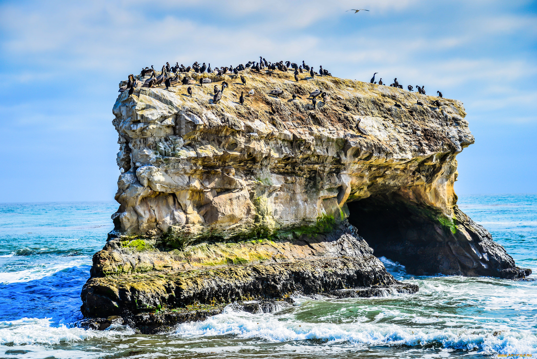 natural bridges state beach, , ,  ,  , , 